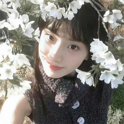 Π情歌